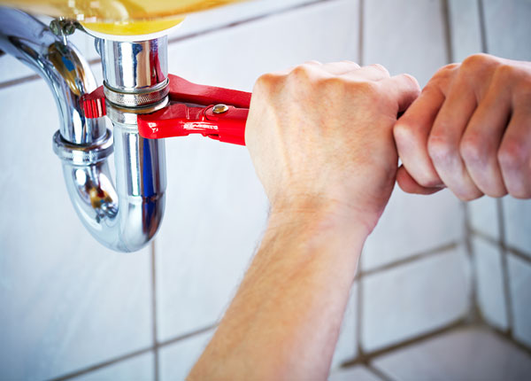 About Bruin Plumbers